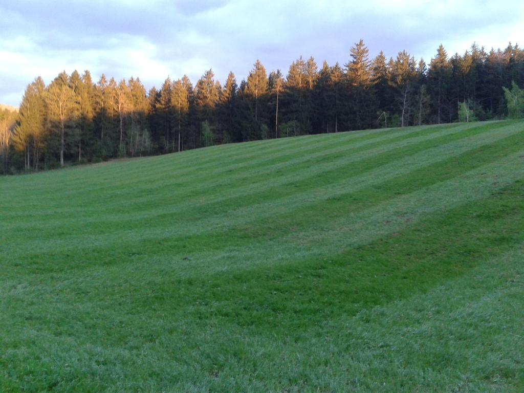 Farm Stay Rotovnik - Plesnik Slovenj Gradec Exterior foto