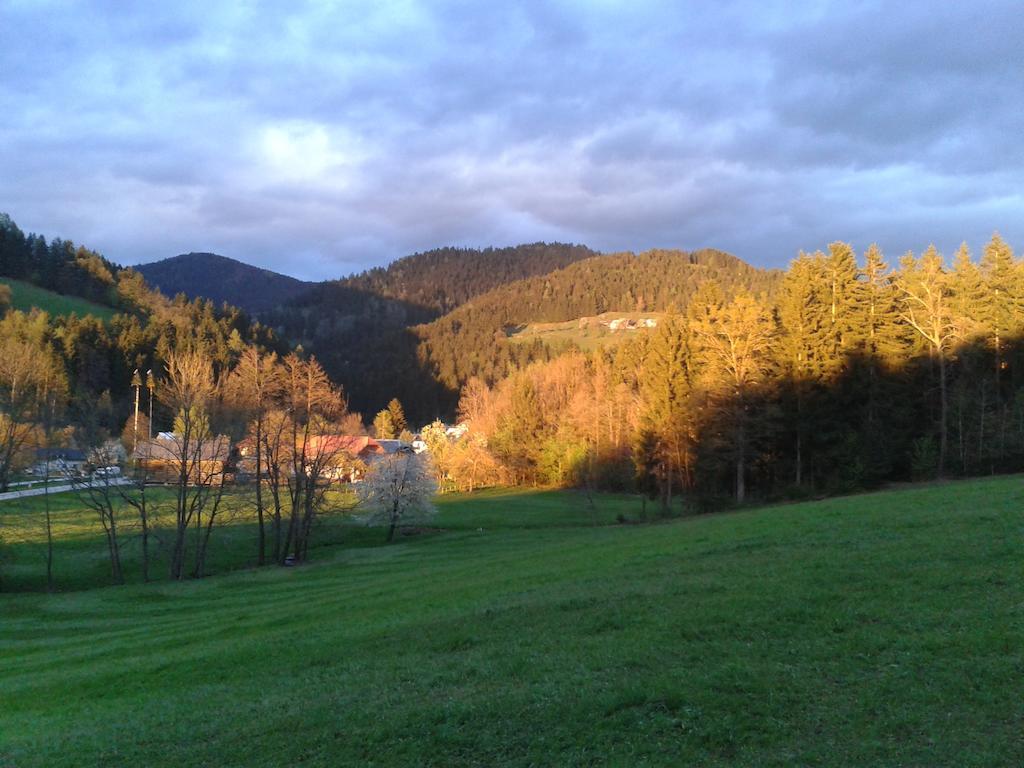 Farm Stay Rotovnik - Plesnik Slovenj Gradec Exterior foto
